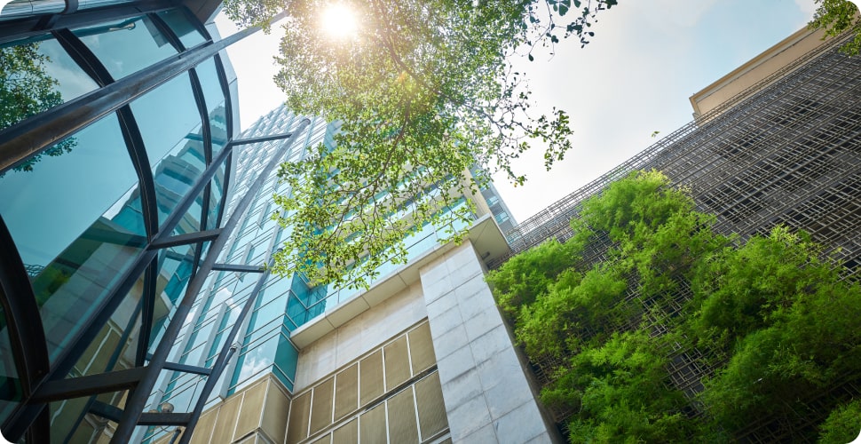 Buying Eco-Friendly Property in Adelaide